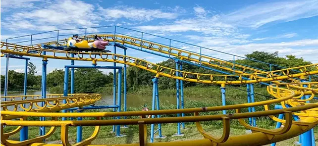 Wild Mouse Roller Coaster