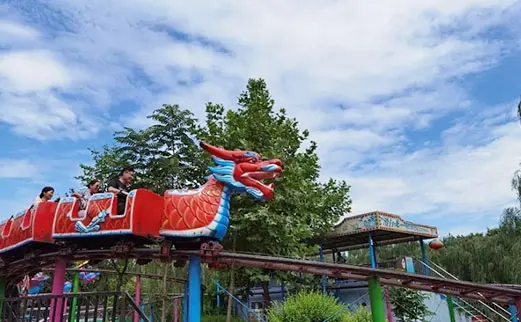 Fairground Loong Coaster