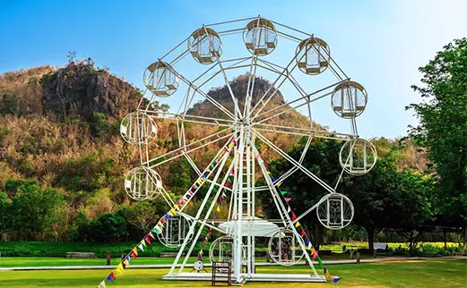 Small Ferris Wheel