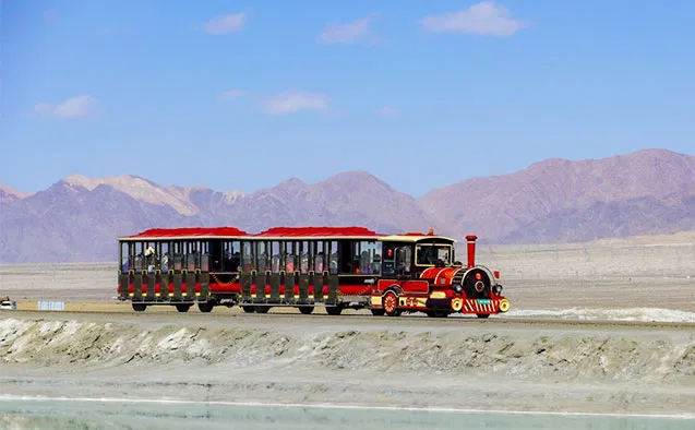 Trackless Train Family Ride