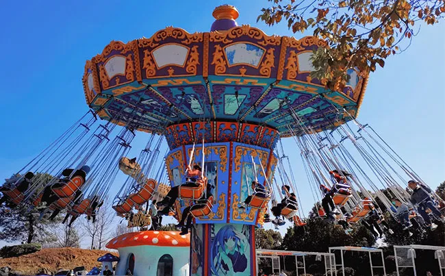 Flying Swing Ride Experience